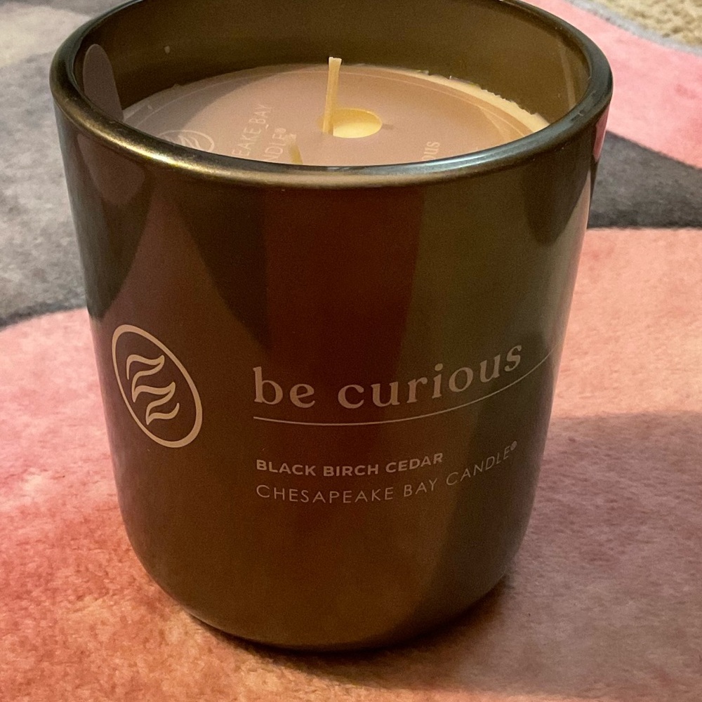 Chesapeake Bay Be Curious Candle - Black Birch Cedar